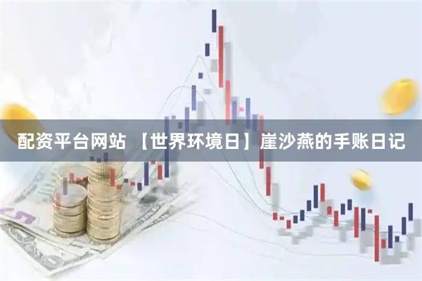 配资平台网站 【世界环境日】崖沙燕的手账日记